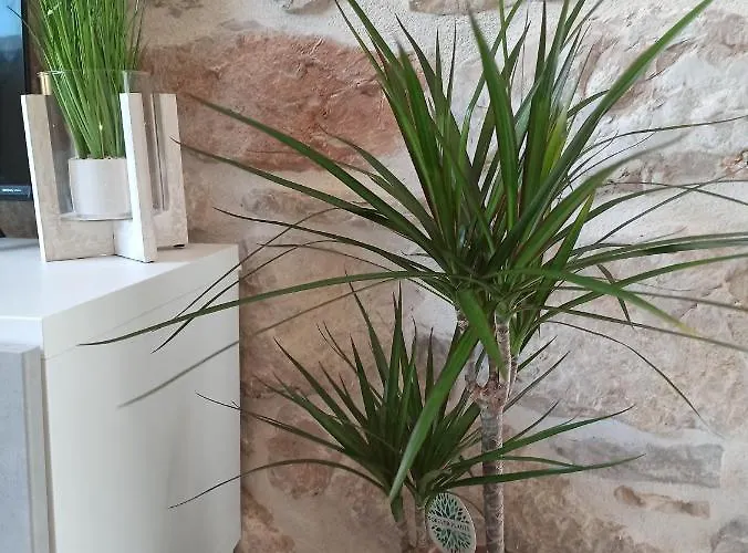 아파트 Grannyanny 시베니크